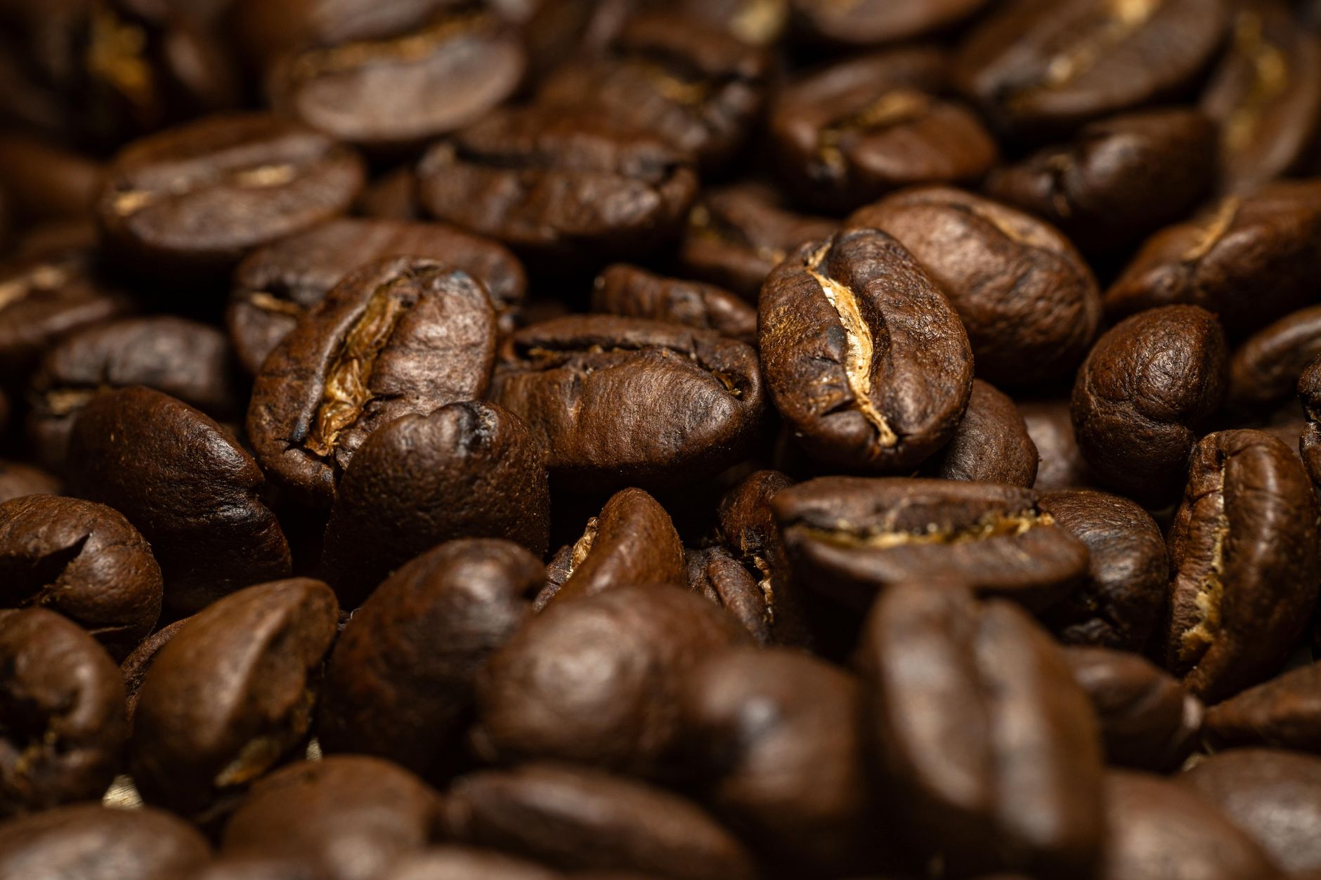 Sumatra Mandheling